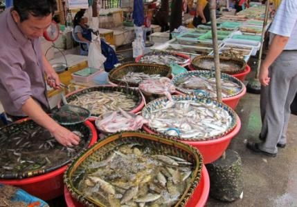 水產品放心吃！多地市場核酸檢測陰性，安全有保障