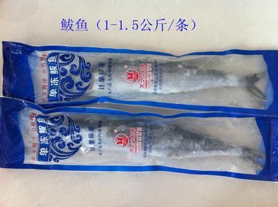 青島海鮮盛宴，禮遇四方 城陽海產品禮盒批發采購全指南