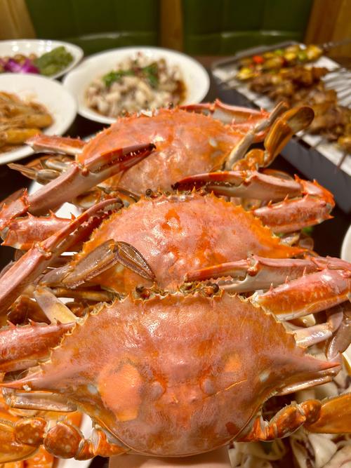 大連海鮮盛宴 饕餮之旅，只此一嘗